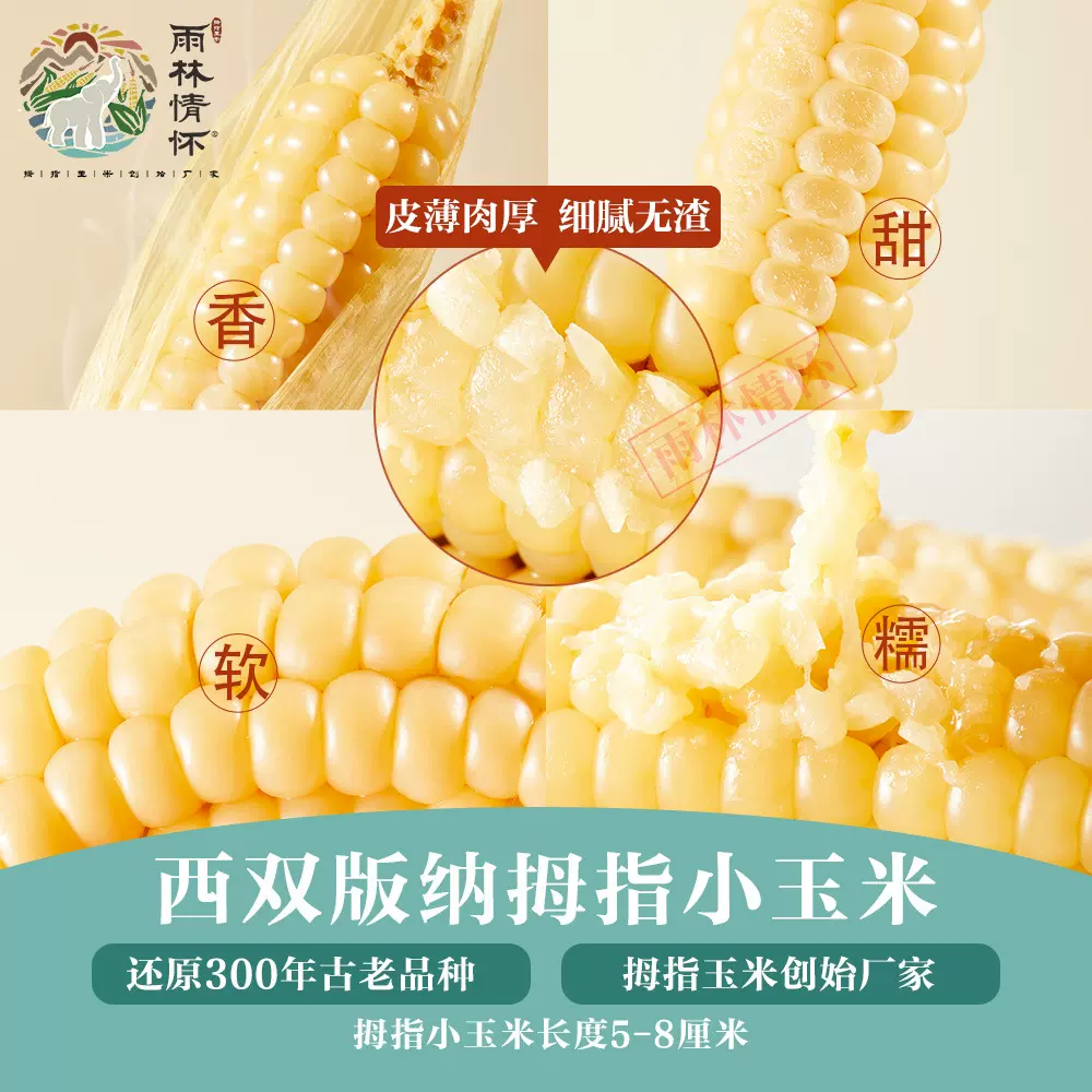 云南西双版纳拇指小玉米新鲜傣家香糯小手指袖珍儿童甜玉米