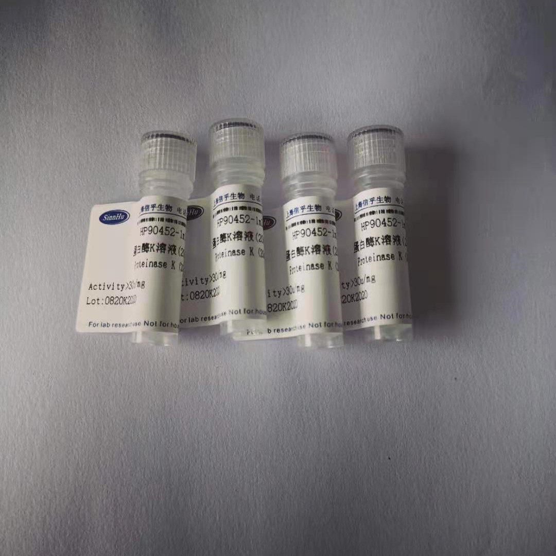 蛋白酶K溶液(20mg/ml)   /  39450-01-6