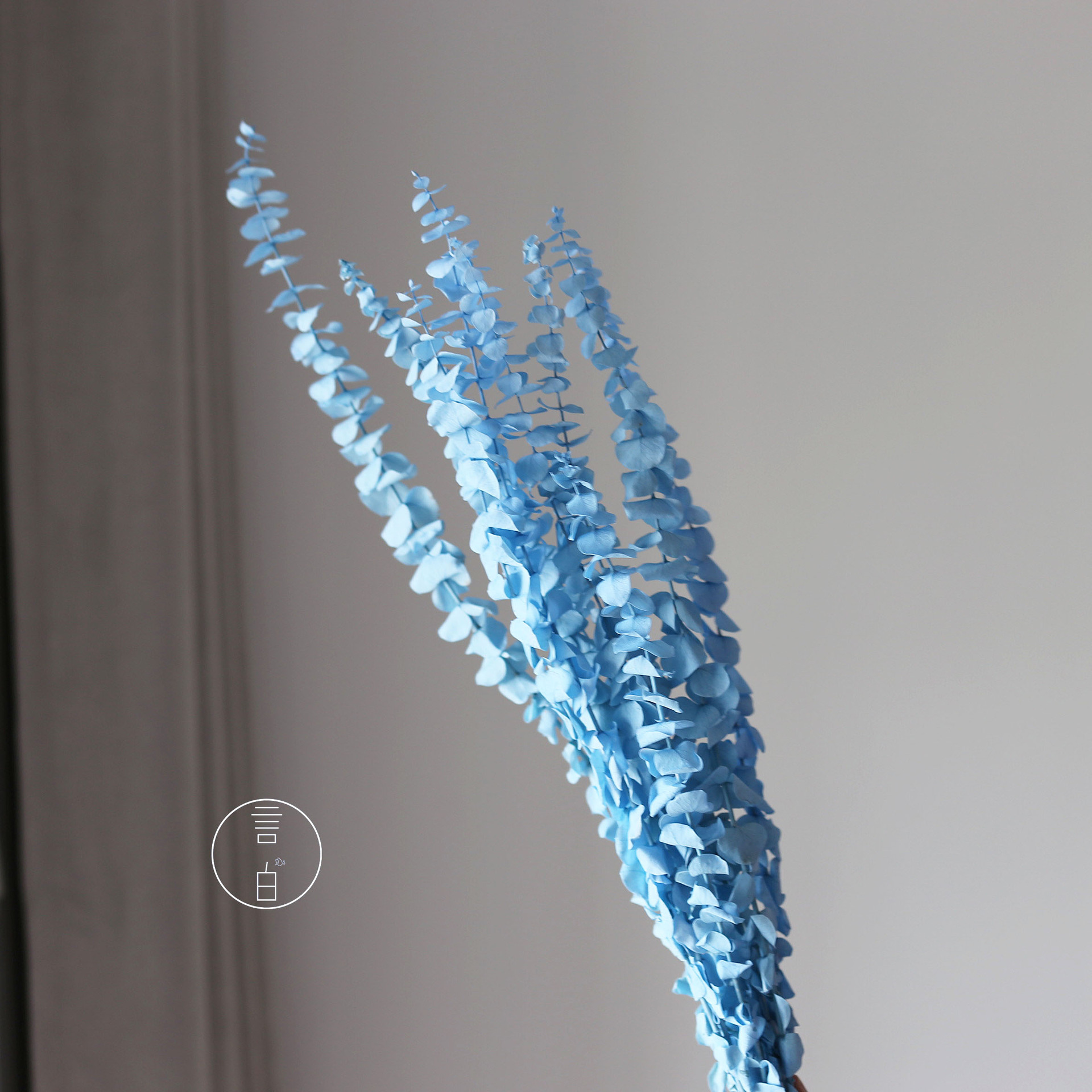 Decoratiune de perete eucalipt stil padure buchet uscat_voghion.com