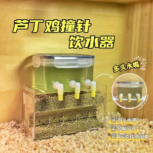 �J���u�g�����^ײ��ˮ����������Ϻд�����ˮ�ط���ʳ��ƽ̨
