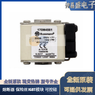 美国BUSSMANN熔断器170M5648  170M5649 170M5650 巴斯曼熔断器
