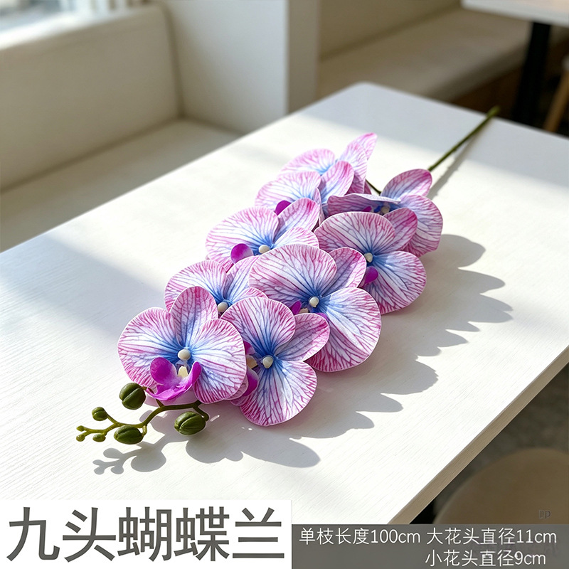 Phalaenopsis 3D mới/xanh hồng