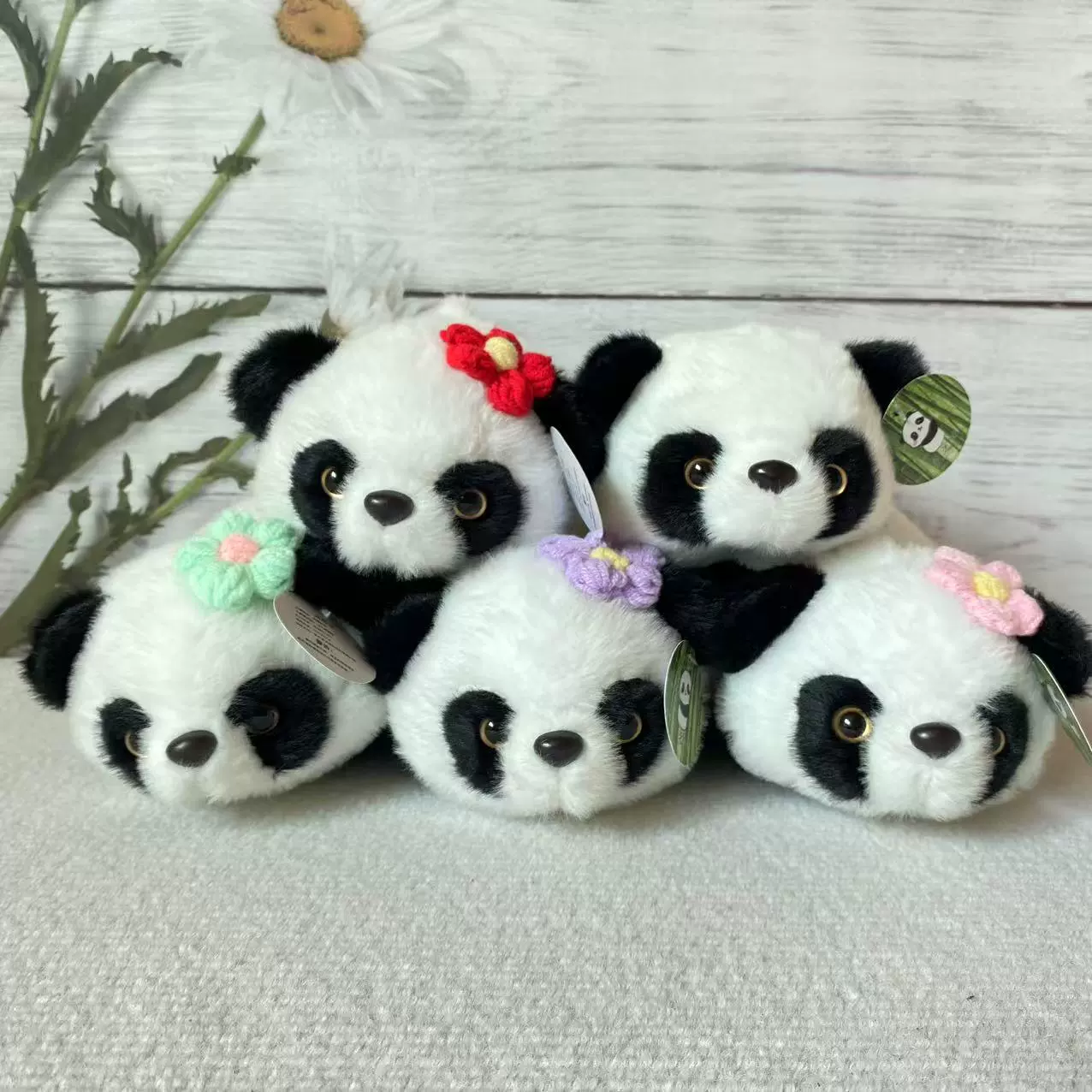 Cute plush doll, magic toy, panda, Birthday gift