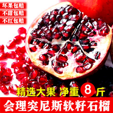 四川會理突尼斯軟籽紅甜石榴精品一級大果孕婦水果8-9個8斤禮盒裝