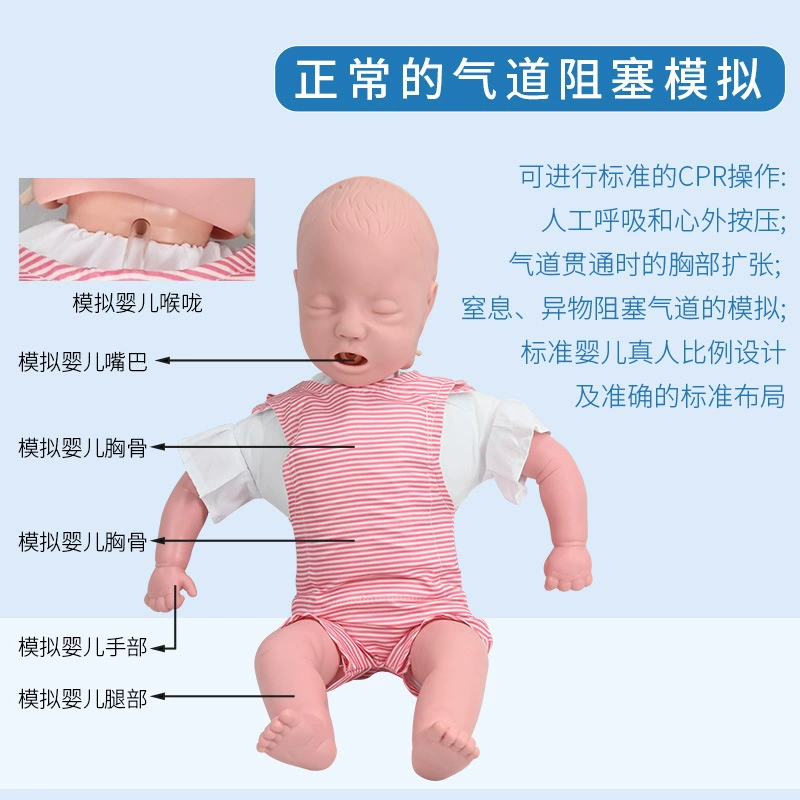 Simulated infant infarction model, pediatric CPR cardiopulmonary resuscitation simulator, Heimlich first aid training teaching aids