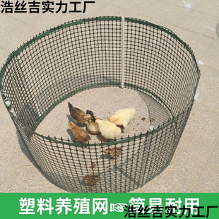 ���ۯB��ͥ�B�u�o��С�u���Z�ù��Ƅ��u�\�u�������z�W�u�\��ֱ�l