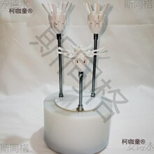 �_�����Ԅ��_�ϻ��q��������̫����̫��