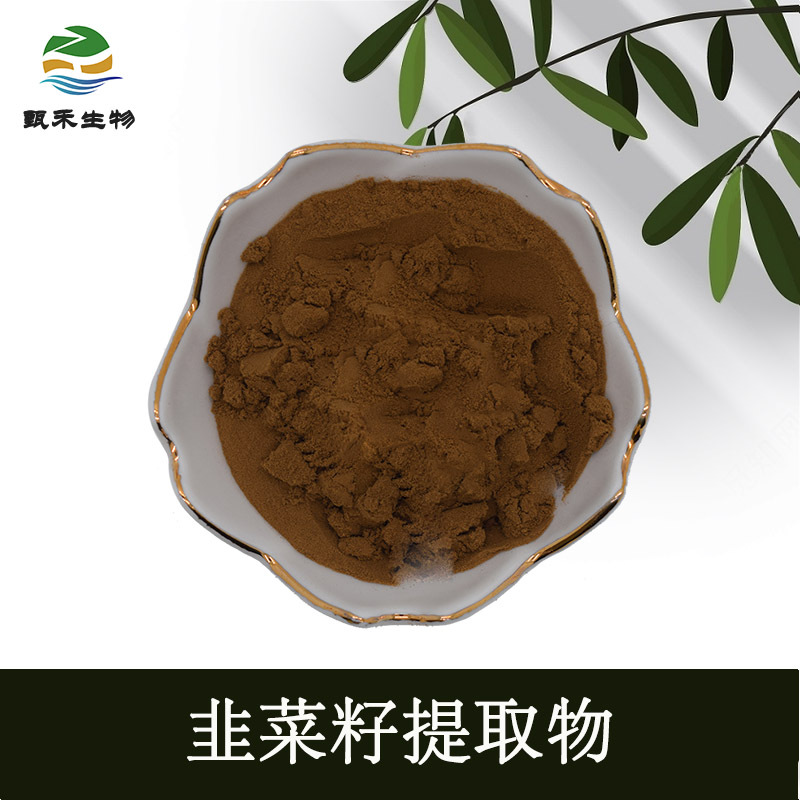 甄禾 韭菜籽提取物10:1 现货批发   萃取韭菜仁原料粉末