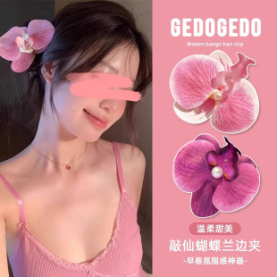 �����m�l�A����l��ץ�A����߅�A���İl��n������Y�ٴ�