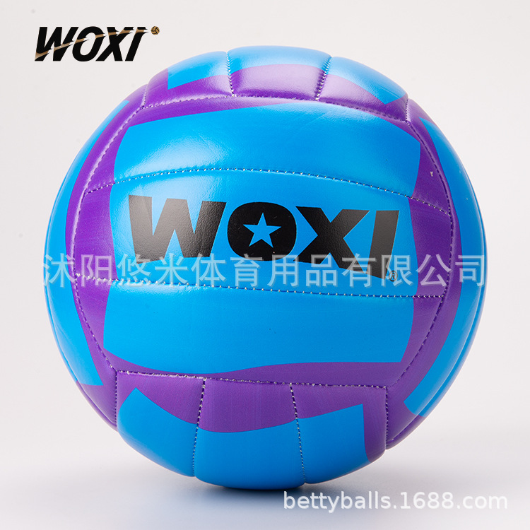 Machine-Sewn Thickeneded Non-Slip Volleyball Volleyball Student Training High School Entrance Examination Adult Beach Volleyball Professional Wholesale