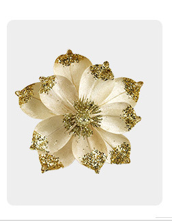 微信图片_20240409143918_02_02