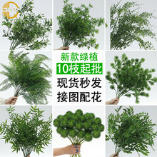 绿色仿真植物森系仿真花绿色花韩系绿植仿真蕨类婚礼装饰植被造景