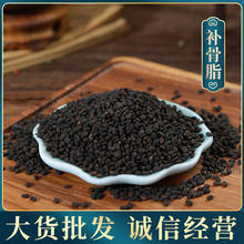 博世堂批发供应  补骨脂 胡韭子 破故纸 黑故子  量大价优