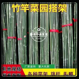 竹木藤苇干草;篱笆/栅栏;园艺护栏