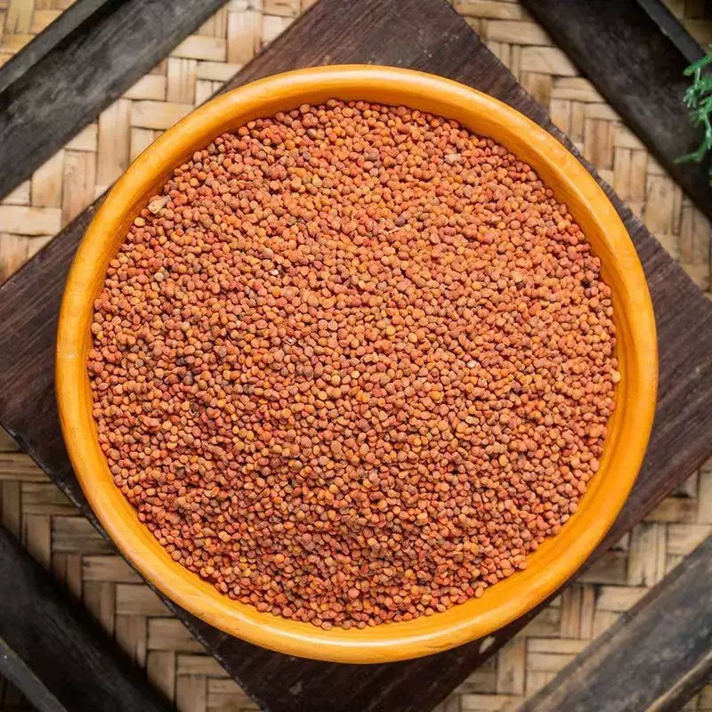 Chu Shi Zi (Broussonetia papyrifera Fruit) — Dried Food Herb, 500g in use