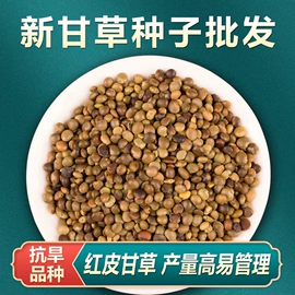 盆栽;种子;园林果树