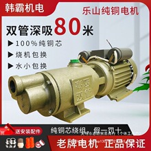 ������ü���ȫ�ԄӸߓP���ݗU�����Æ����������ˮ�C220V��ɽ