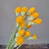 Orange 18