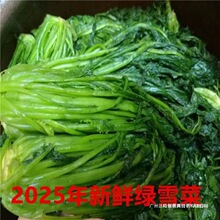 2024东台绿雪菜咸菜袋装绿色雪里红蕻新鲜腌制下饭菜酱菜整箱群木