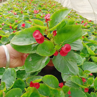 �ļ��ﺣ�� �ȸ�ȸ��� �~�~�t�� ������ ͘�⺣�Ļ����G����ľ