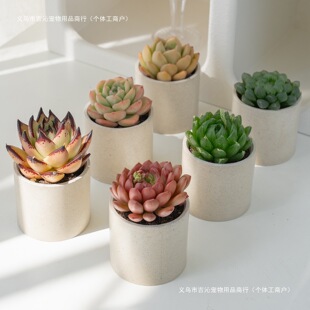 ߶ֲСkGֲֺBM϶Էُ