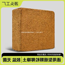 �B����K�I�B��Ҭ�uҮ�u����������ͨ����Ó�}�����Nֲ��Ҭ���N��