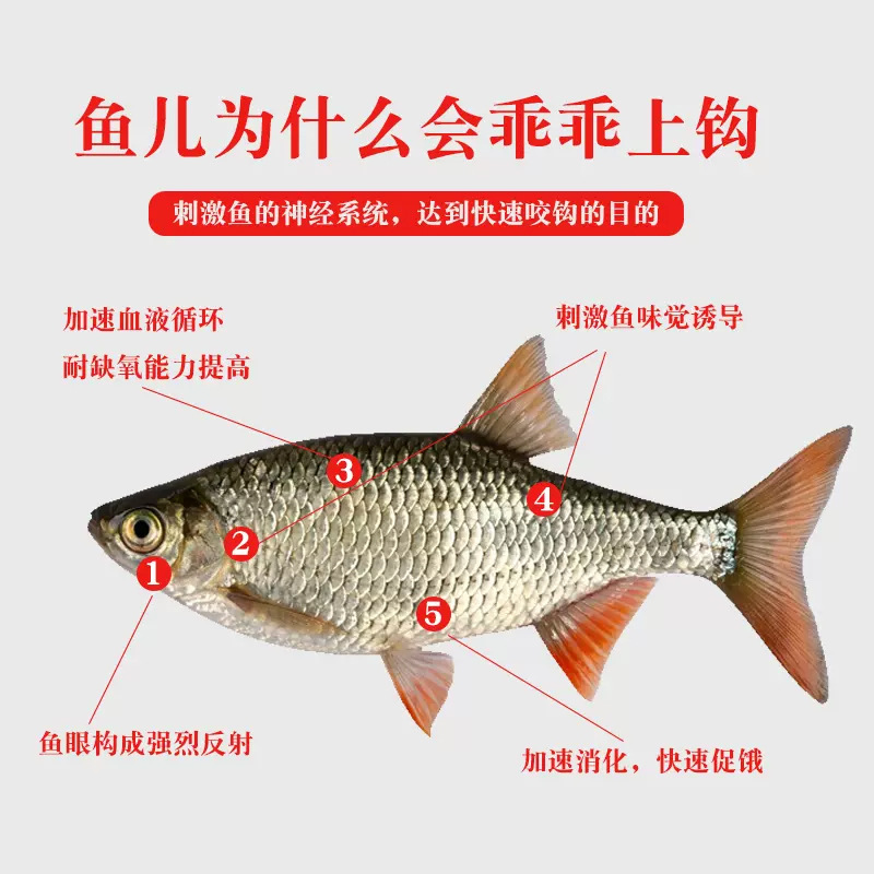 Señuelo de Shu contiene artículos de pesca para el embalse del río Yujiao, señuelo de pescado, señuelo de pescado, medicinas pequeñas, hierbas, frutas, aditivos para piensos, frutas, frutas