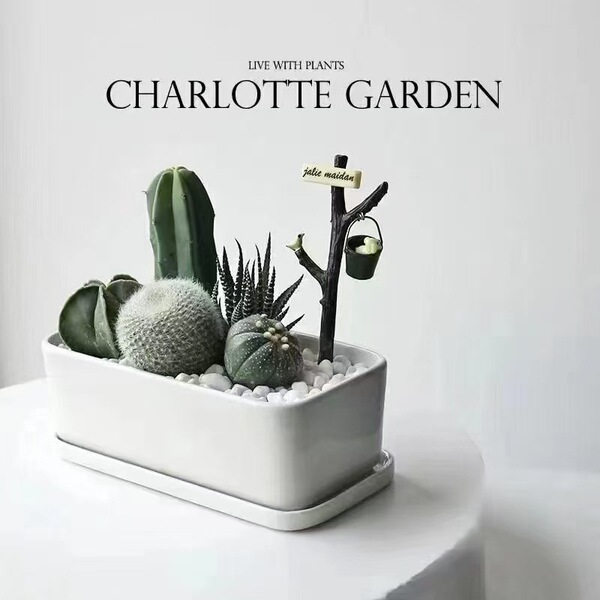 Ceramic creative rectangular flowerpot