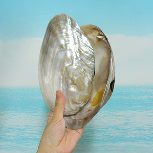 ��Ȼؐ�� ȥƤ�������ǰ� ����β����������ؐ���ҾӔ[��