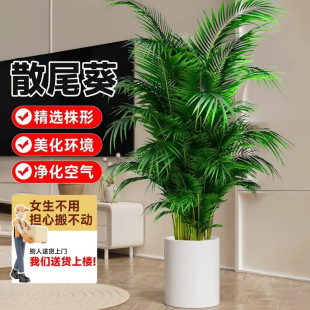 ɢβ���������Ը��FҬ��ֲ�Pβ��W�tֲ��ؿ͏d�҃�2��16�հl��