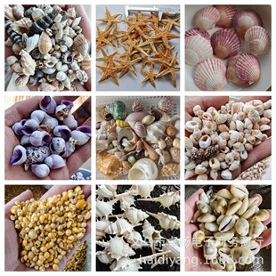 100�N���� ��Ȼؐ������ �ֹ�����diy  �ľ�з�~���쾰 ����ؐ��