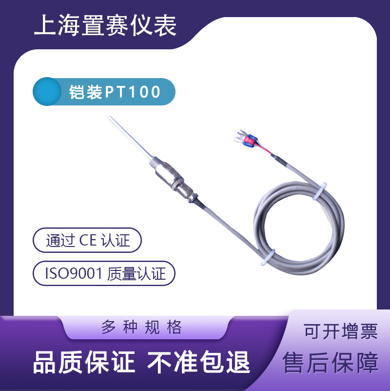 Pt100温度传感器 铂热电阻ZS5防水温度探头 K/E型热电偶感温棒