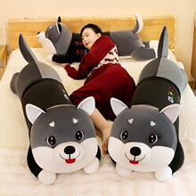 ���Sֱ�N��ʿ����߱������װ��ṫ�д�����˯�A���L�l������ż