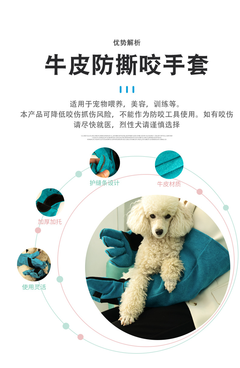 其他2皮-1_06.jpg