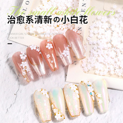 Internet celebrity five-petal flower small white flower three-dimensional mini Japanese ins resin white size flower mixed nail decoration