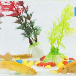 ���q��ˮ��ˮ�^�p�~�׽����q���坍���߾����~����B����p