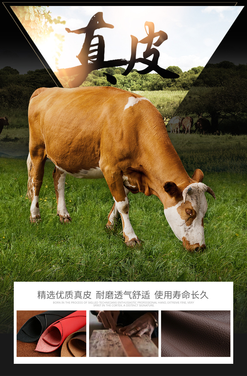 哈弗F7改_04.jpg