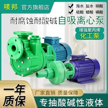 32FPZ-11塑料自吸泵聚丙烯防腐抽酸水泵耐酸碱化工泵离心泵0.75KW