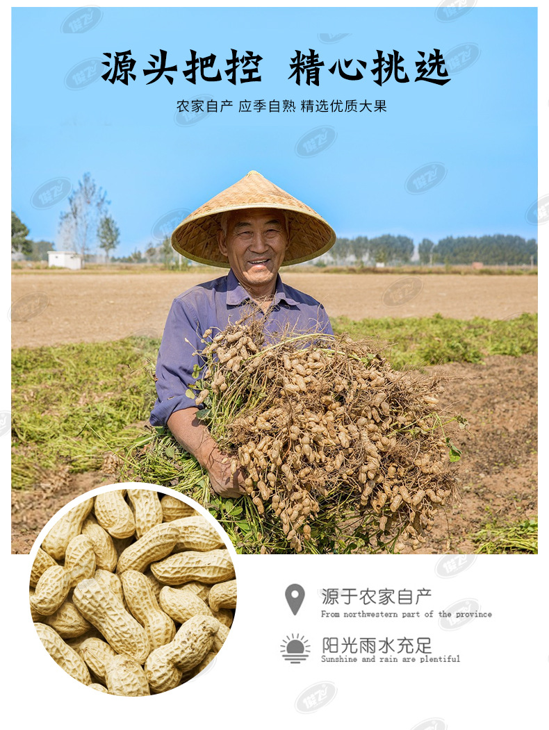 花生米-详情页_03