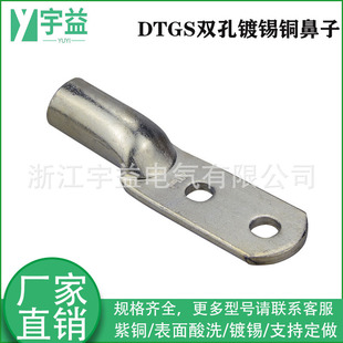 DTG2-120 tinned double-hole copper terminal double-hole copper terminal double-hole copper nose copper crimping terminal manufacturers