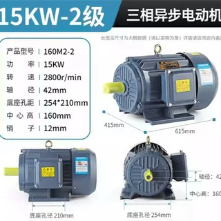定制YE3-160M2-2三相异步电动机2极 15KW三相异步电动机