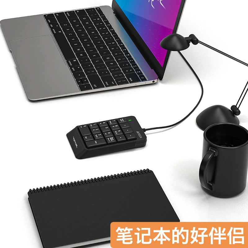 双飞燕 FK13P проводная антивсплескная клавиатура USB-ключ внешний финансовый учет кассовый аппарат цифровая клавиатура