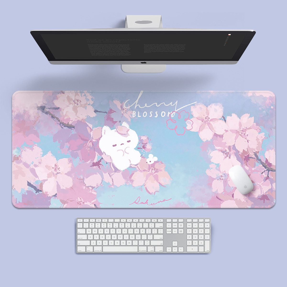 治愈猫咪-春季樱花