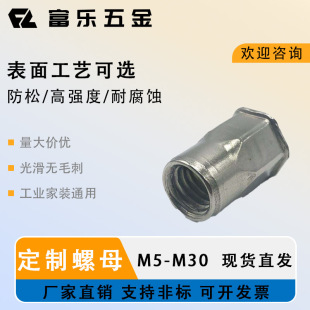 ���l�r M4 -M30 ̼��X�Ͻ�Ƕ��ʽ�����T��ĸ �pС���^ä