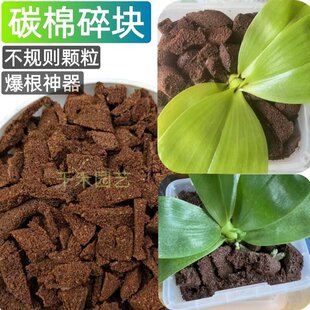 �����m��ֲ�ϻ��T�ﺣ��������Nֲ��ʯ��¹��ާ�I�B��̼���w��