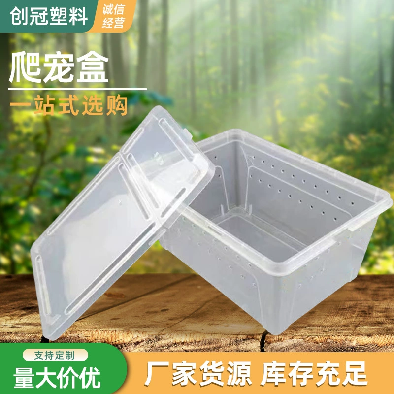 Коробка для скалолазания Жук Коробка для разведения насекомых Ночной рынок стойло ящерицы рога лягушка геккон ползание Коробка для разведения краба-отшельника