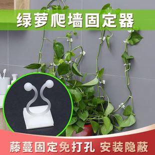 Green Basket Climbing Artifact Climbing Wall Fixator Green Radish Green Plant Climbing Clip Wall Traceless Hook Sticky Climbing Rattan Pole