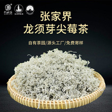 资质齐全莓茶张家界野生龙须芽尖茅岩霉茶湖南永顺长寿藤茶叶土家