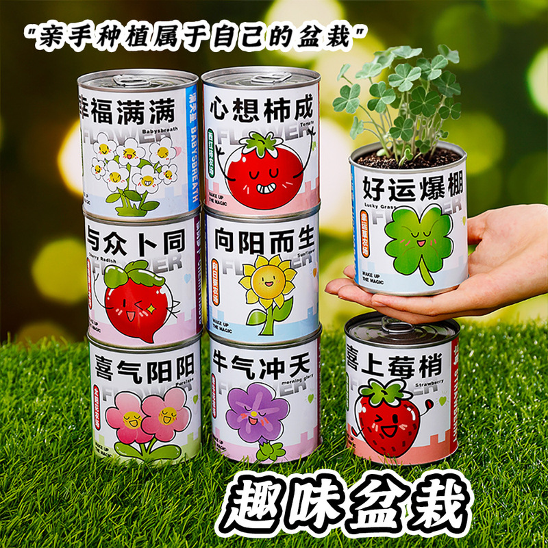 Blessing Text Planting Potted Plants Student DIY Desktop Ornaments Small Potted Plants Flower Seeds Reward Small Gifts