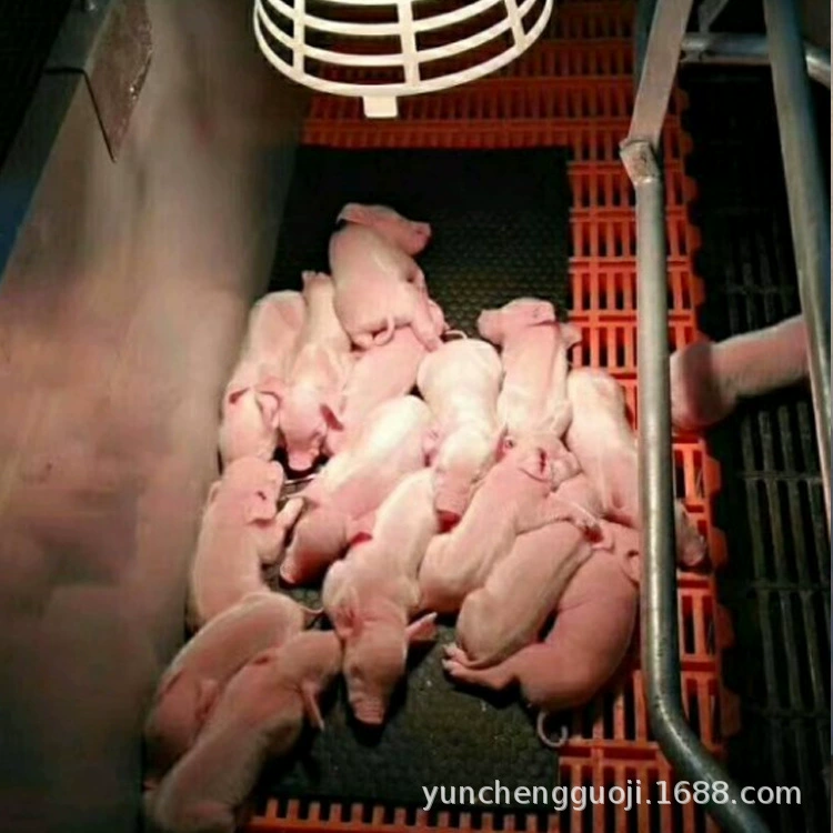 Завод прямых продаж высокое качество свинья изоляционная накладка свинарник уход площадку Завод прямых продаж свинья резиновая накладка свинарник